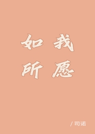 锐舞使用感受